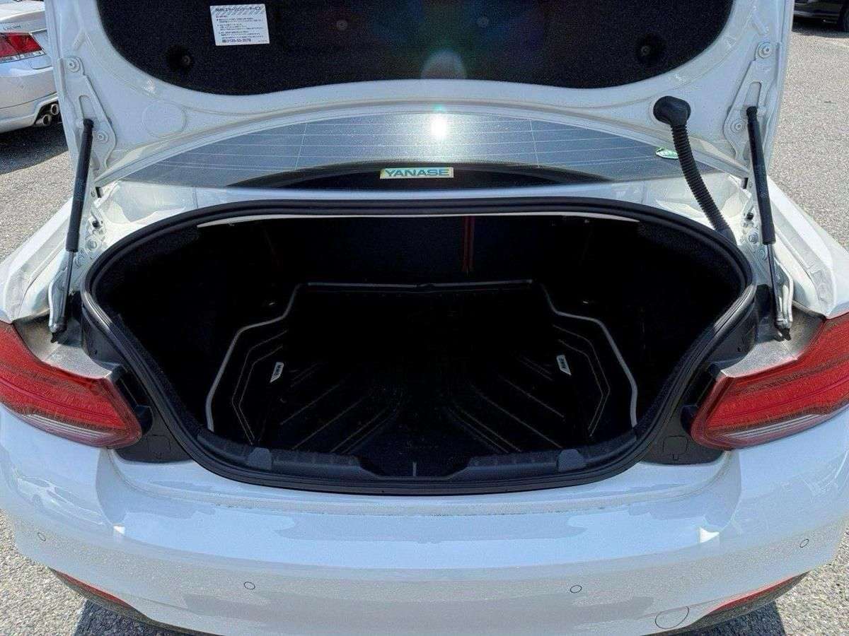 2018 BMW 2 SERIES COUPE 2018 BMW 2 SERIES COUPE