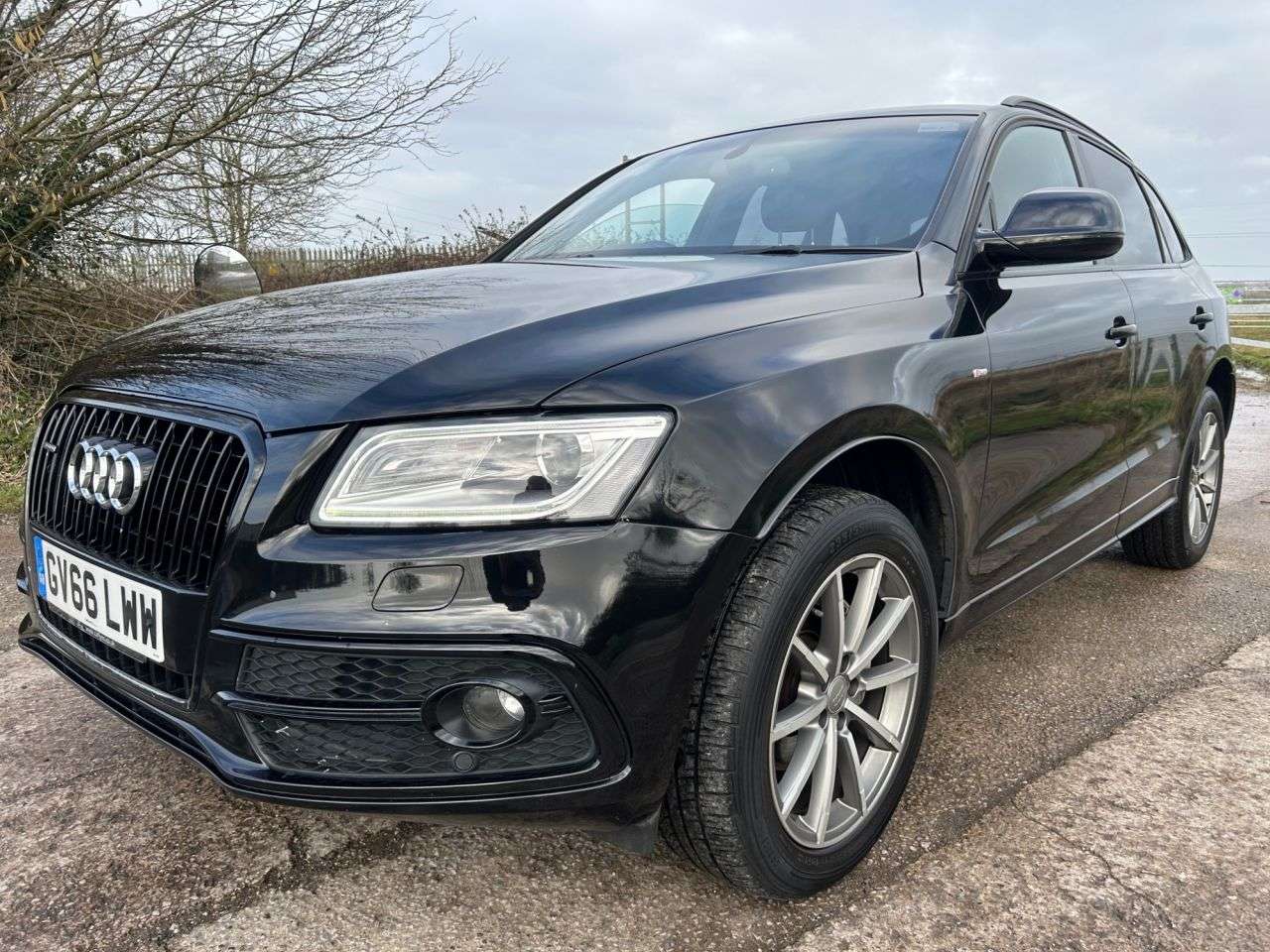 2017 AUDI Q5 2017 AUDI Q5