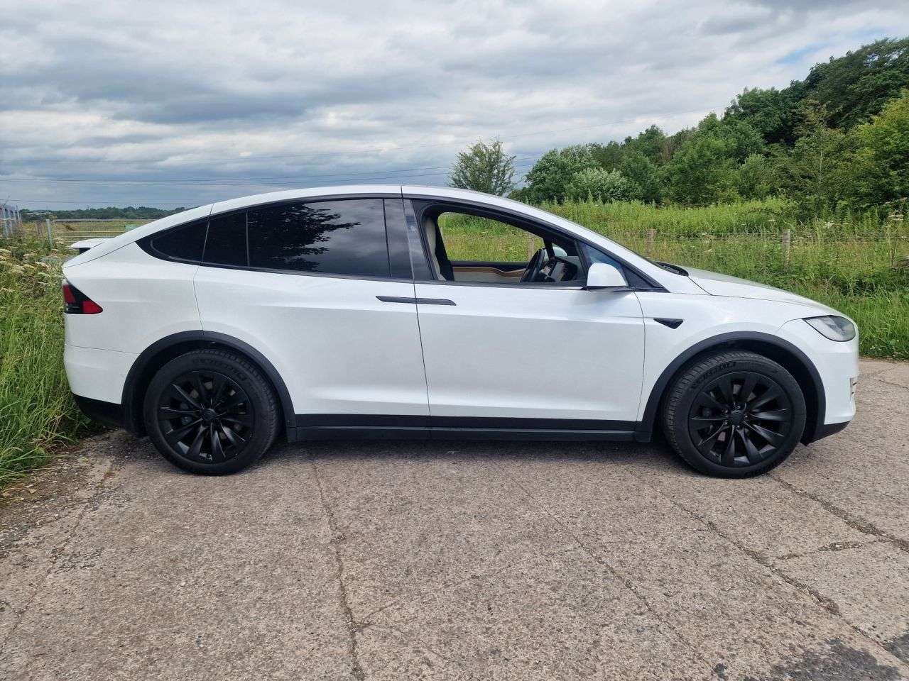 2019 TESLA MODEL X 2019 TESLA MODEL X