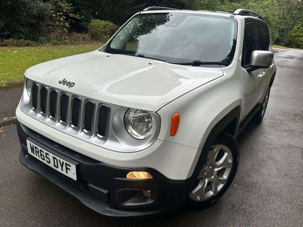 2015 JEEP RENEGADE 2015 JEEP RENEGADE