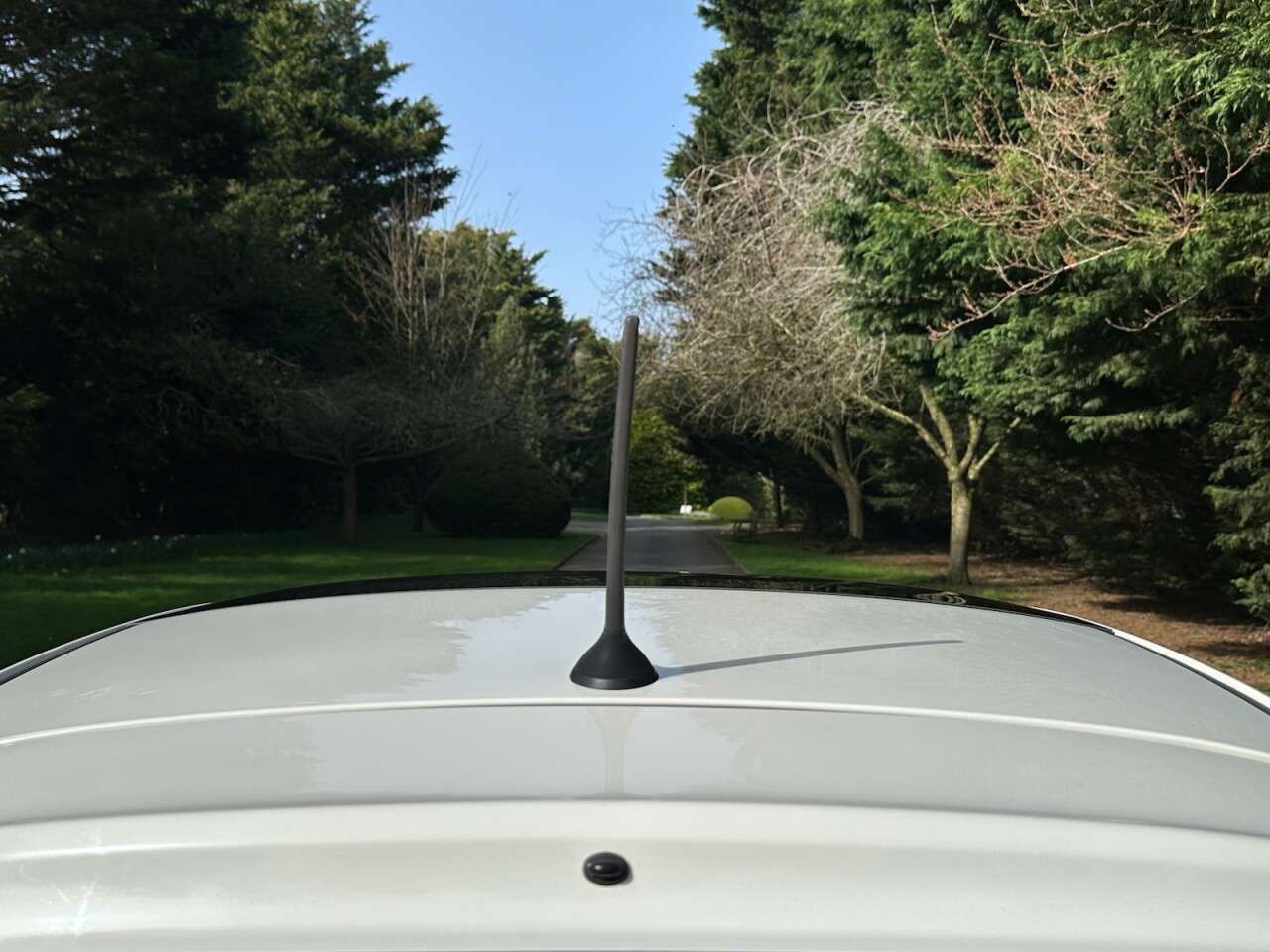 2016 FIAT 500 2016 FIAT 500