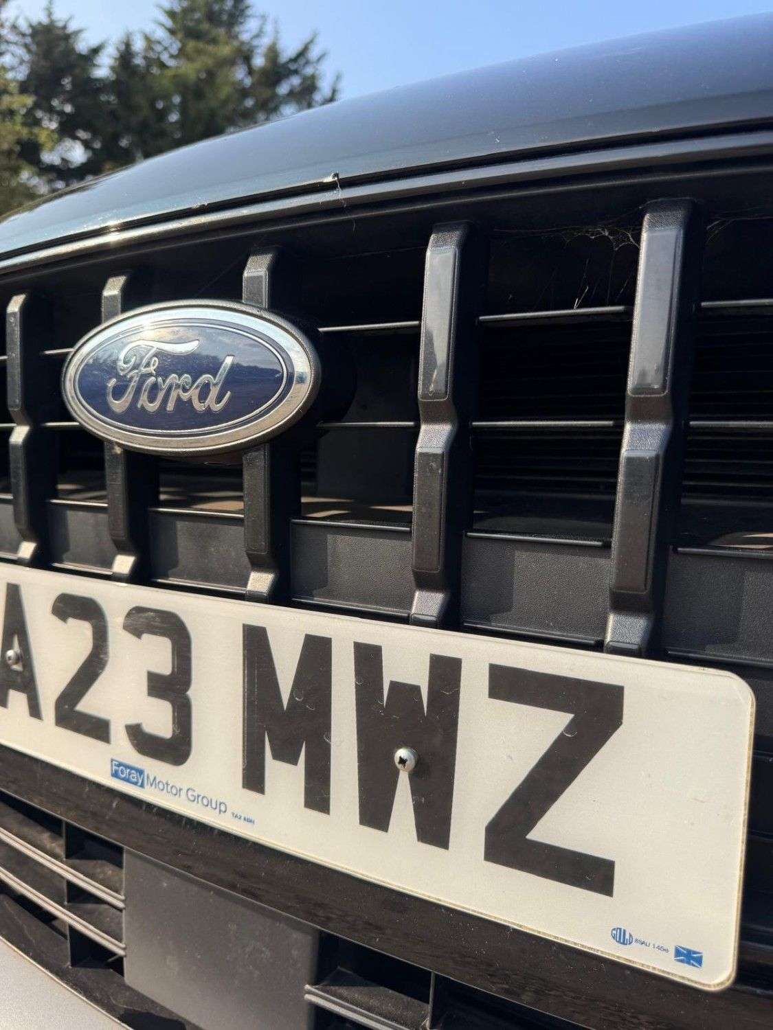 2023 FORD FOCUS 2023 FORD FOCUS