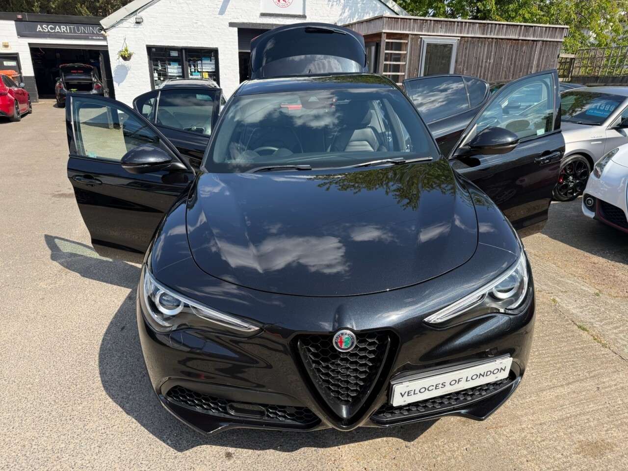 2019 ALFA ROMEO STELVIO 2019 ALFA ROMEO STELVIO