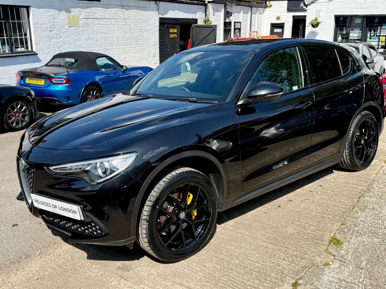 2019 ALFA ROMEO STELVIO 2019 ALFA ROMEO STELVIO