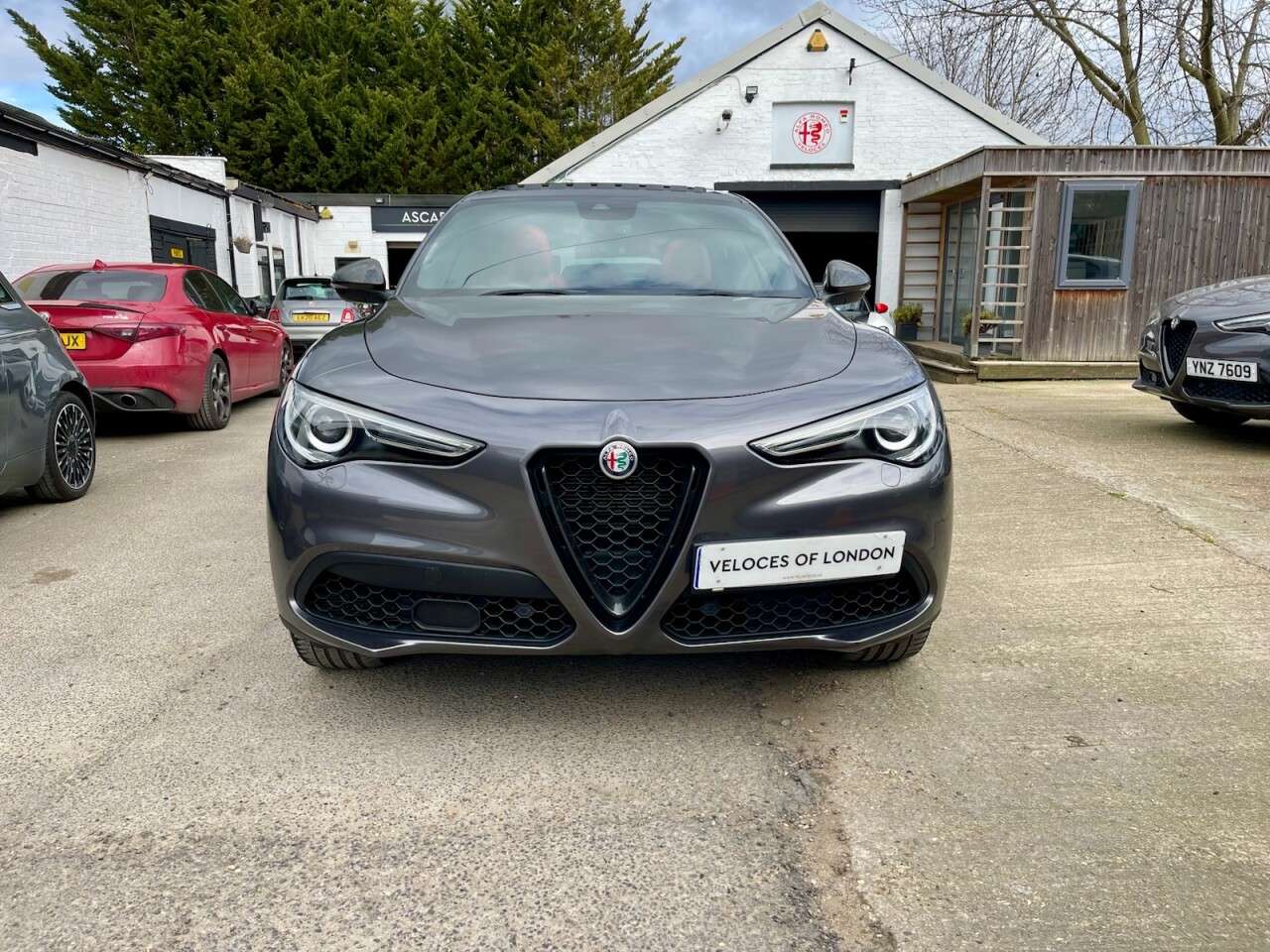 2019 ALFA ROMEO STELVIO 2019 ALFA ROMEO STELVIO