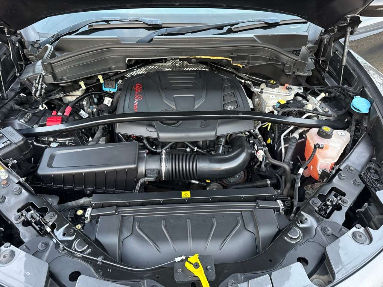 2019 ALFA ROMEO STELVIO 2019 ALFA ROMEO STELVIO