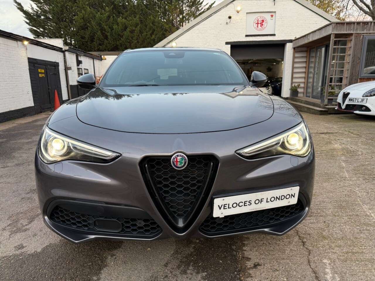 2019 ALFA ROMEO STELVIO 2019 ALFA ROMEO STELVIO