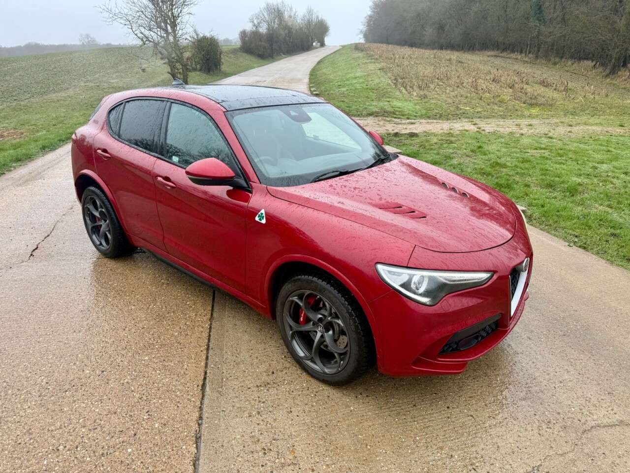 2019 ALFA ROMEO STELVIO 2019 ALFA ROMEO STELVIO