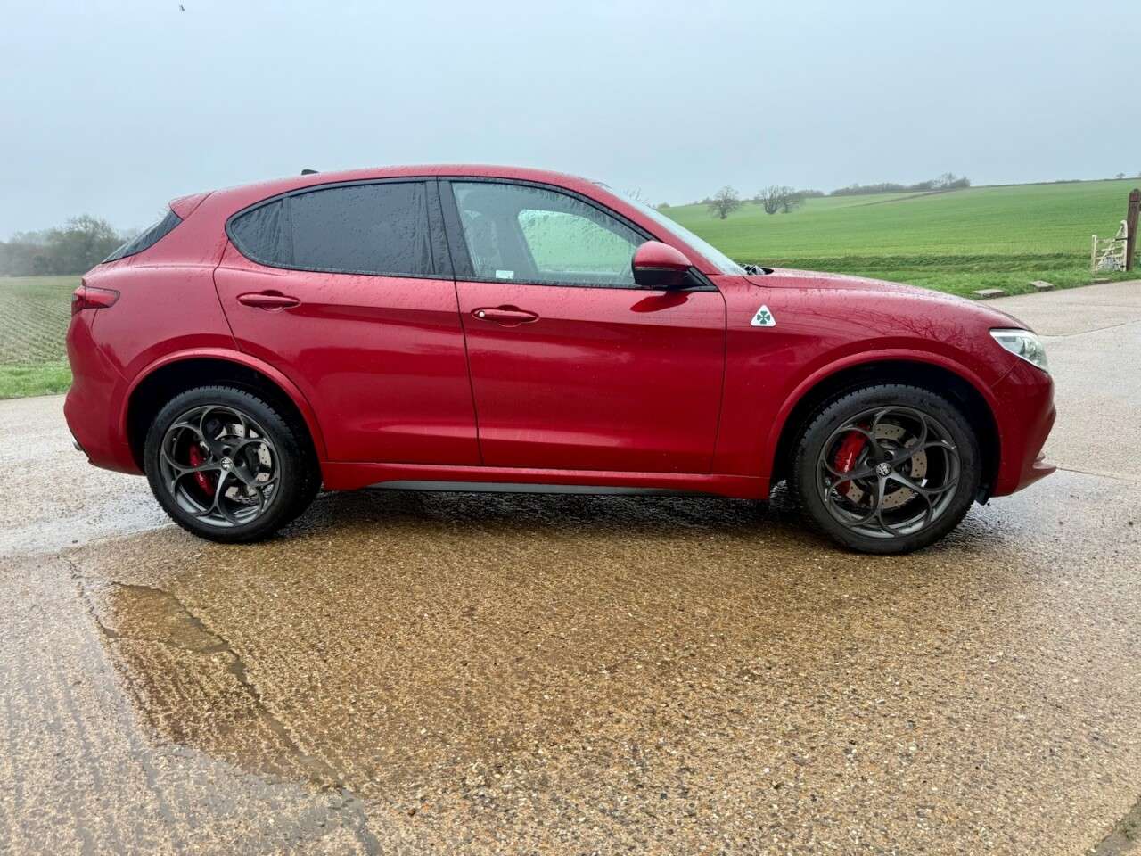 2019 ALFA ROMEO STELVIO 2019 ALFA ROMEO STELVIO