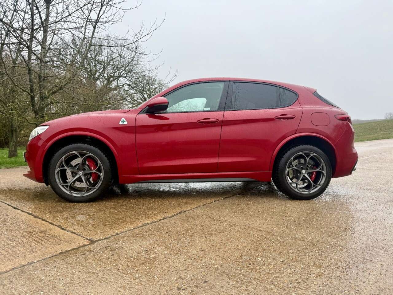 2019 ALFA ROMEO STELVIO 2019 ALFA ROMEO STELVIO
