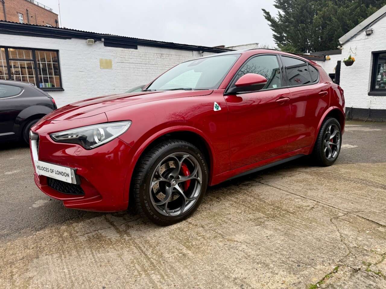 2019 ALFA ROMEO STELVIO 2019 ALFA ROMEO STELVIO