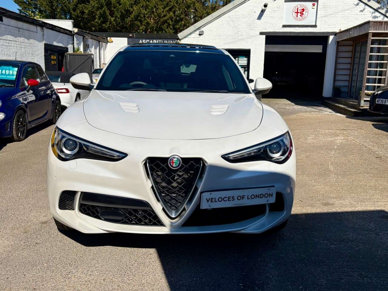 2019 ALFA ROMEO STELVIO 2019 ALFA ROMEO STELVIO
