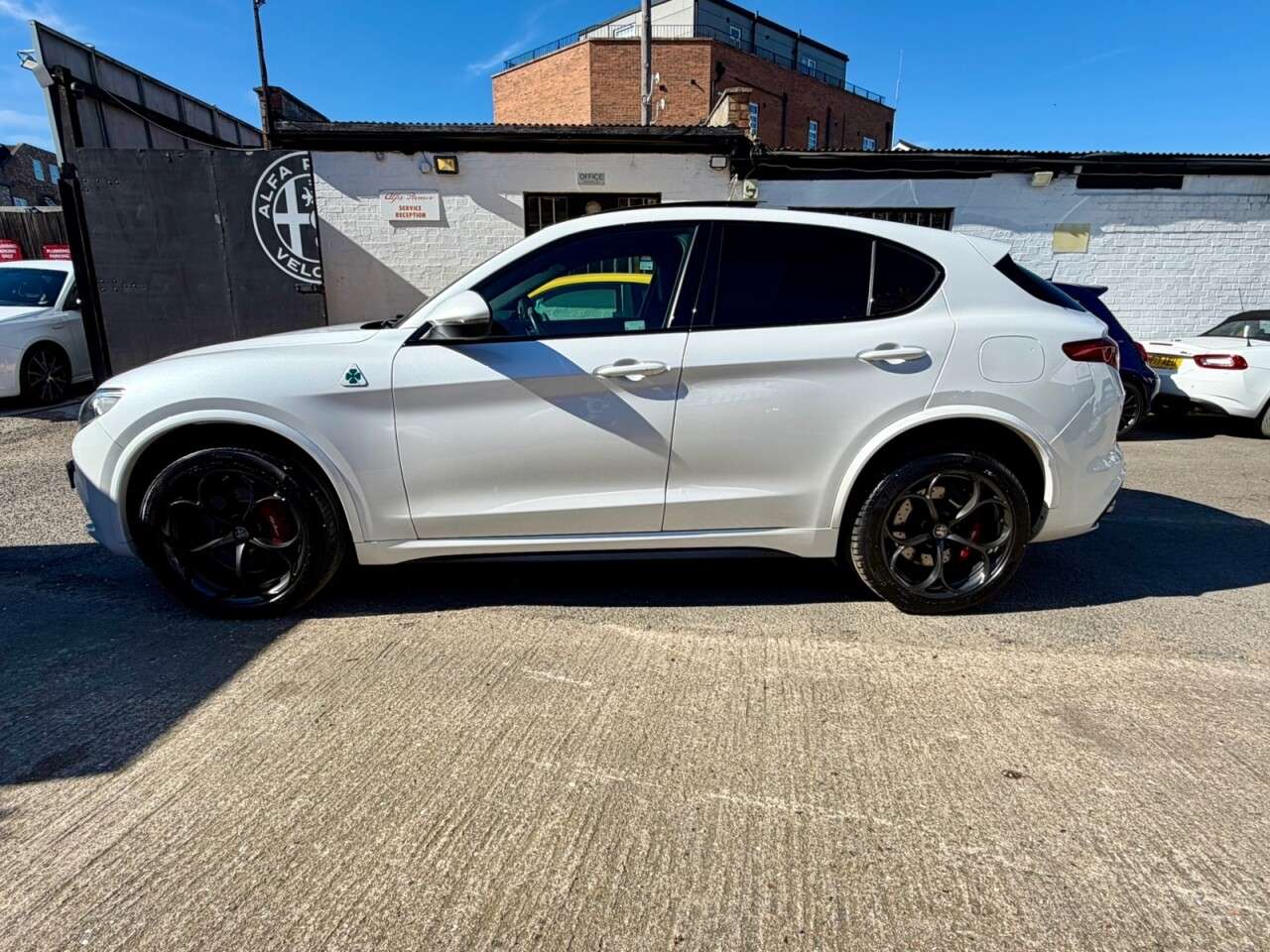 2019 ALFA ROMEO STELVIO 2019 ALFA ROMEO STELVIO