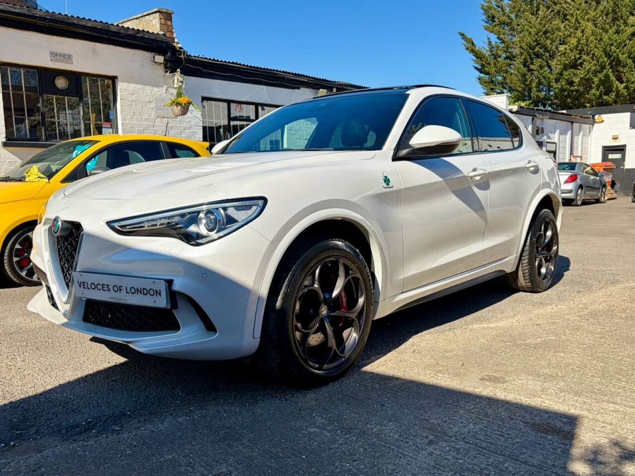 2019 ALFA ROMEO STELVIO 2019 ALFA ROMEO STELVIO