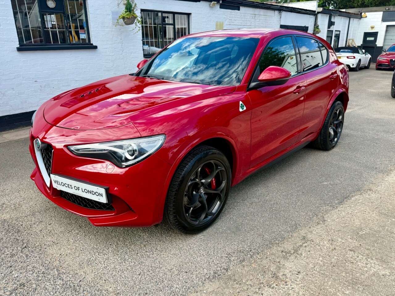 2019 ALFA ROMEO STELVIO 2019 ALFA ROMEO STELVIO