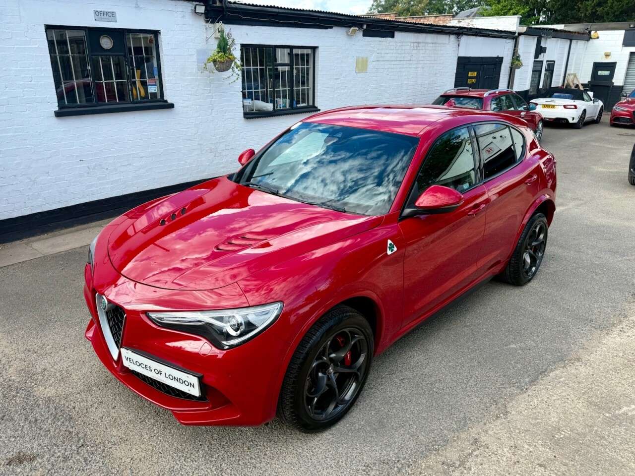 2019 ALFA ROMEO STELVIO 2019 ALFA ROMEO STELVIO