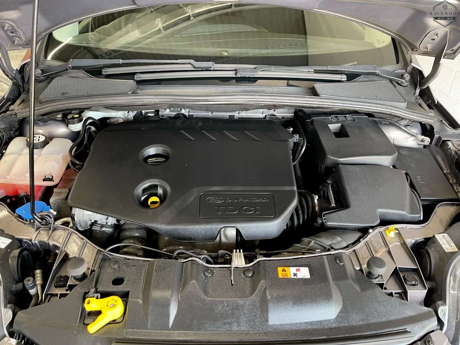 2013 FORD FOCUS 2013 FORD FOCUS