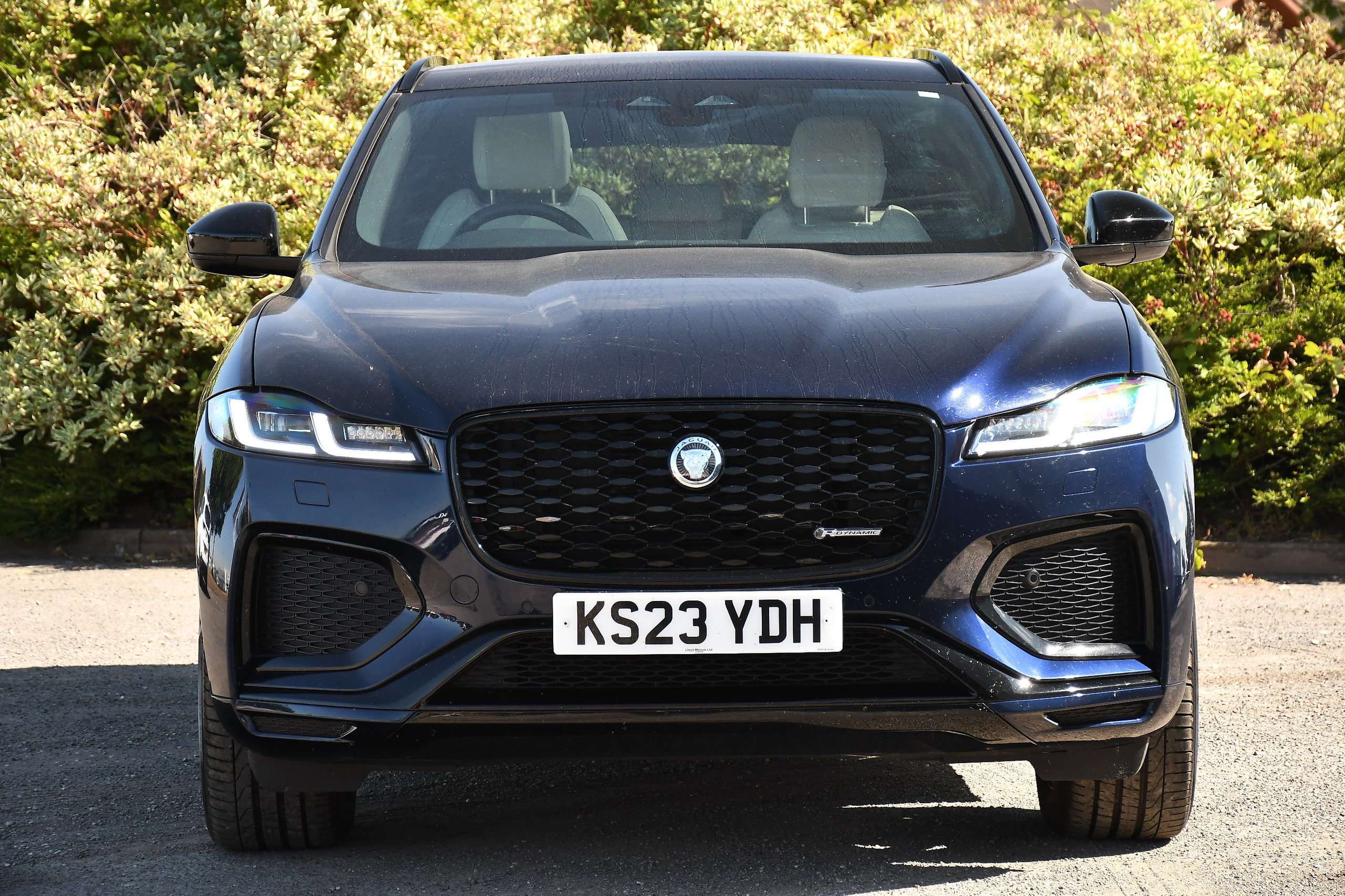 2023 JAGUAR F-PACE 2023 JAGUAR F-PACE