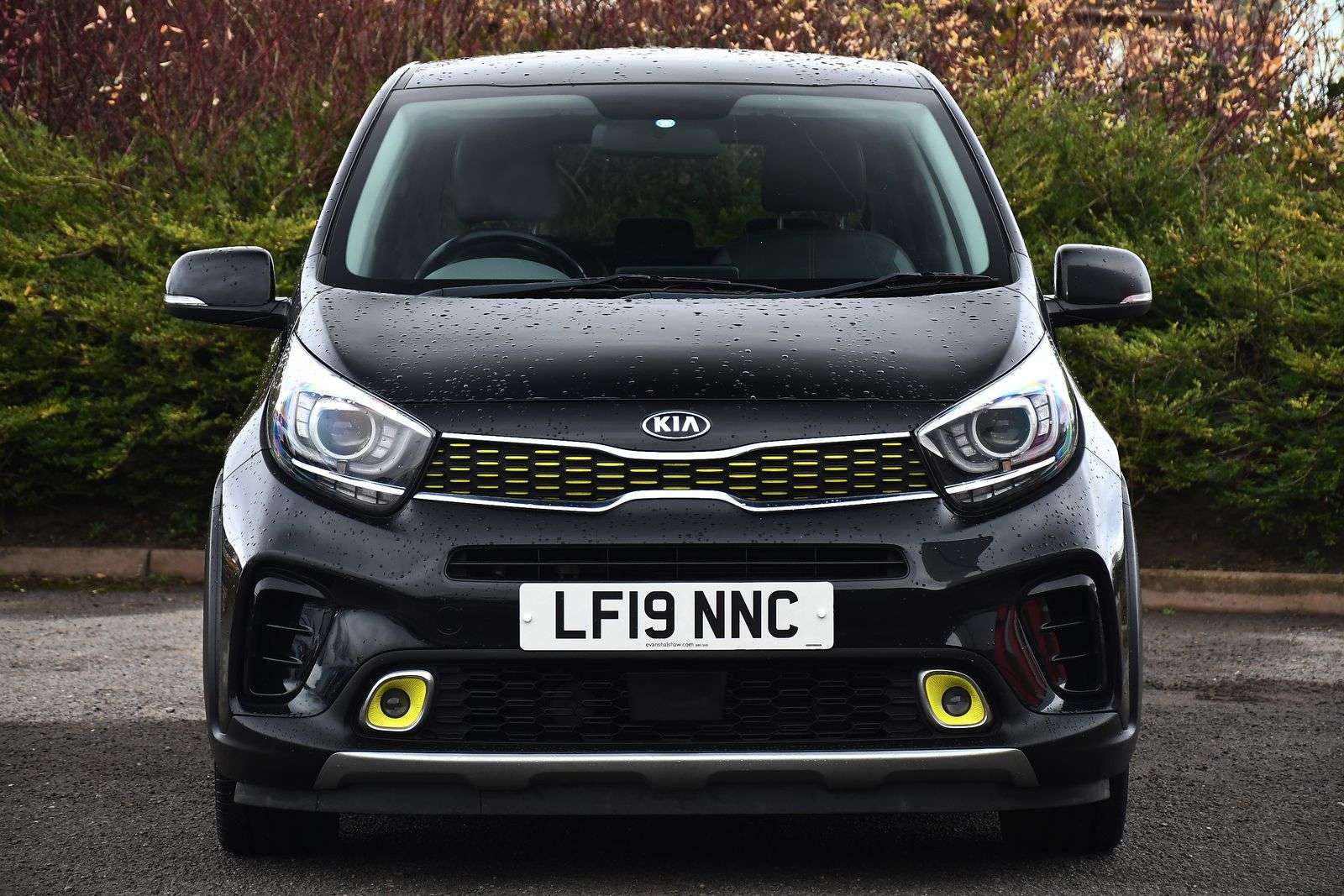 2019 KIA PICANTO 2019 KIA PICANTO