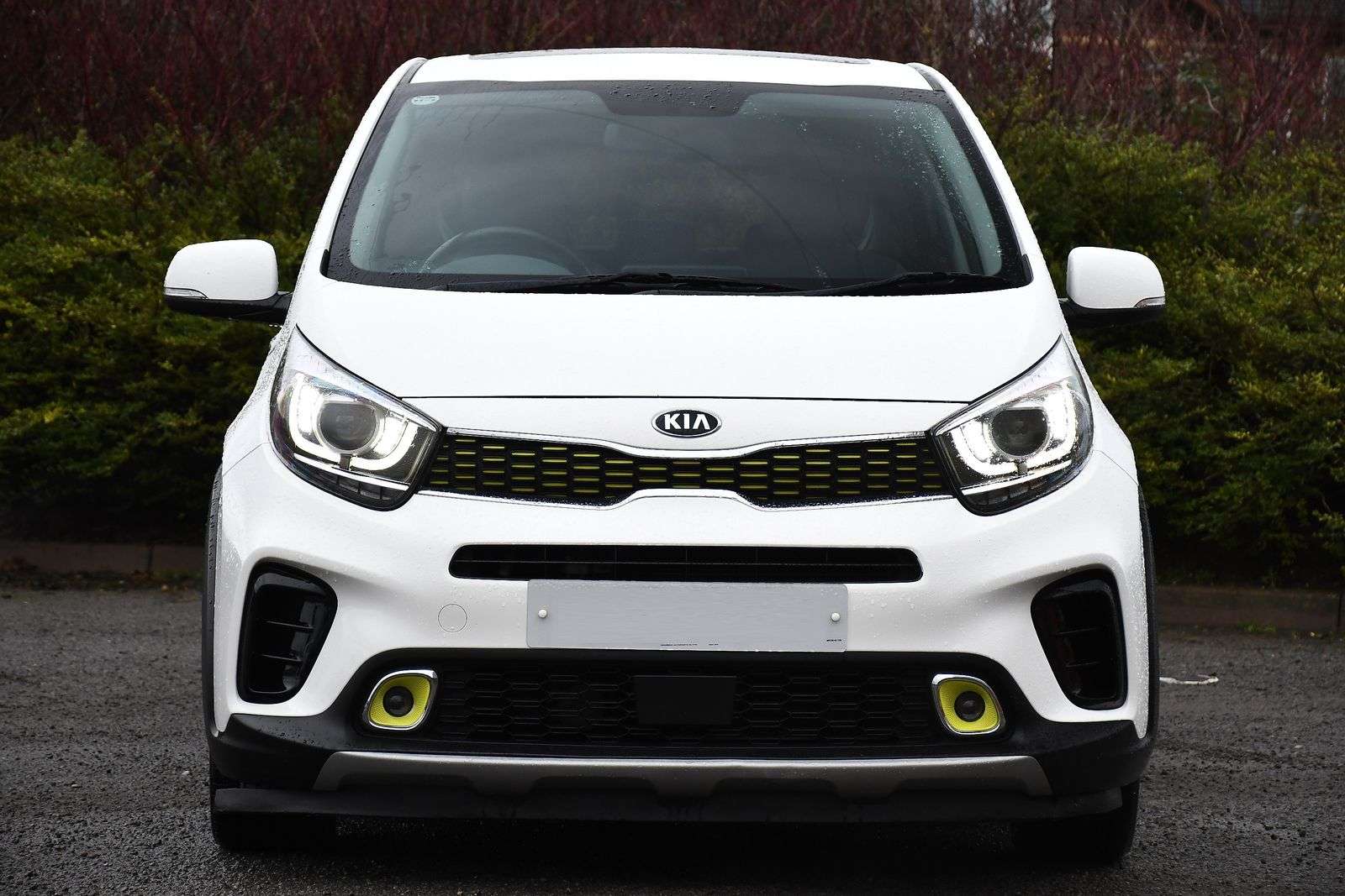2019 KIA PICANTO 2019 KIA PICANTO