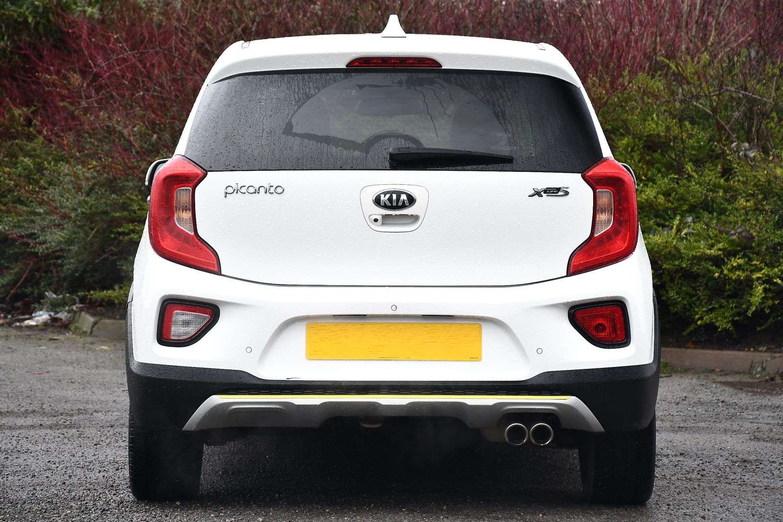 2019 KIA PICANTO 2019 KIA PICANTO