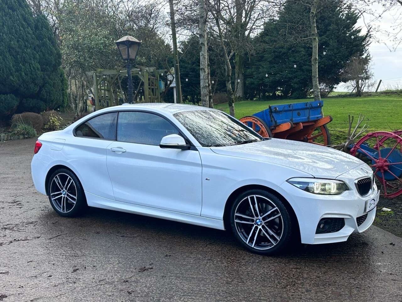 2019 BMW 2 SERIES 2019 BMW 2 SERIES
