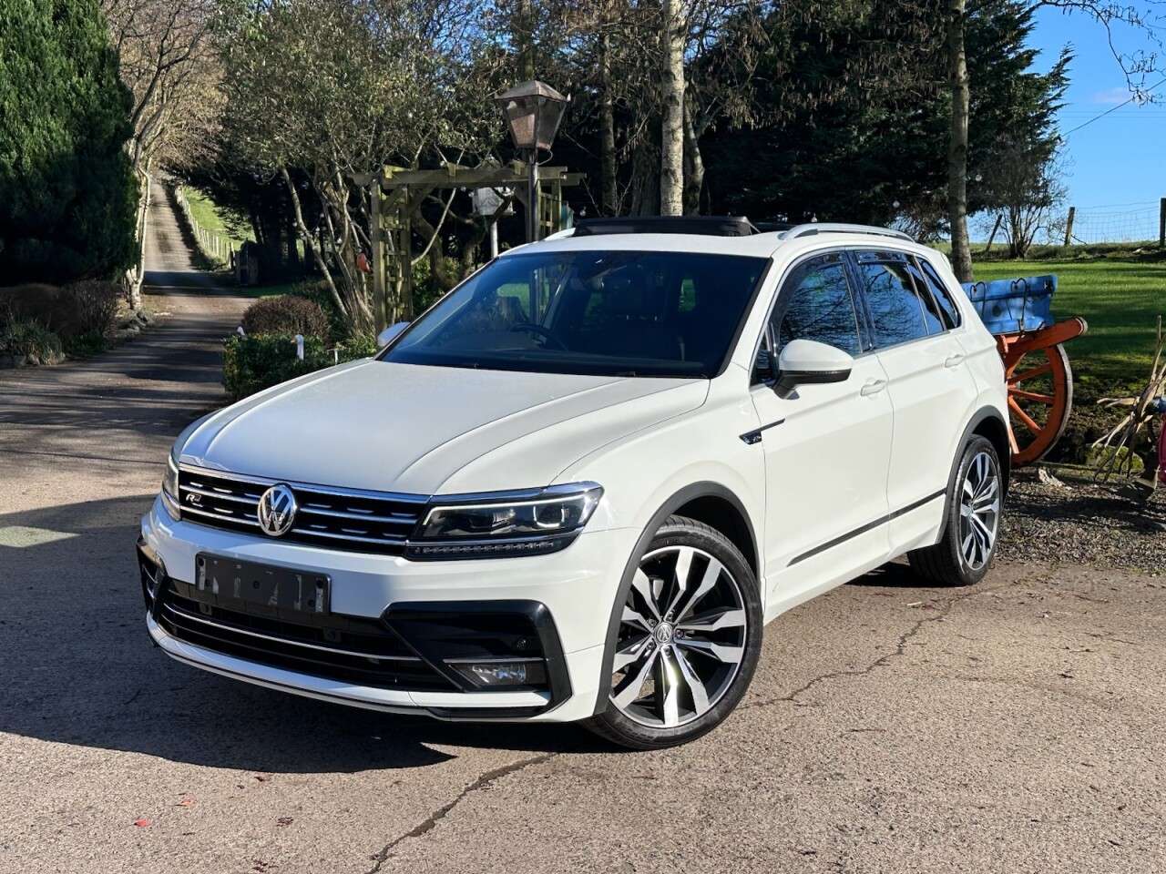2017 VOLKSWAGEN TIGUAN 2017 VOLKSWAGEN TIGUAN