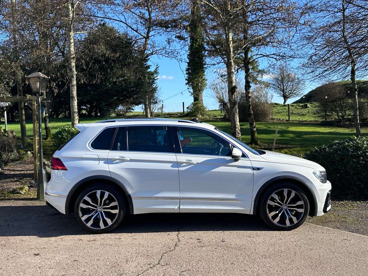 2017 VOLKSWAGEN TIGUAN 2017 VOLKSWAGEN TIGUAN