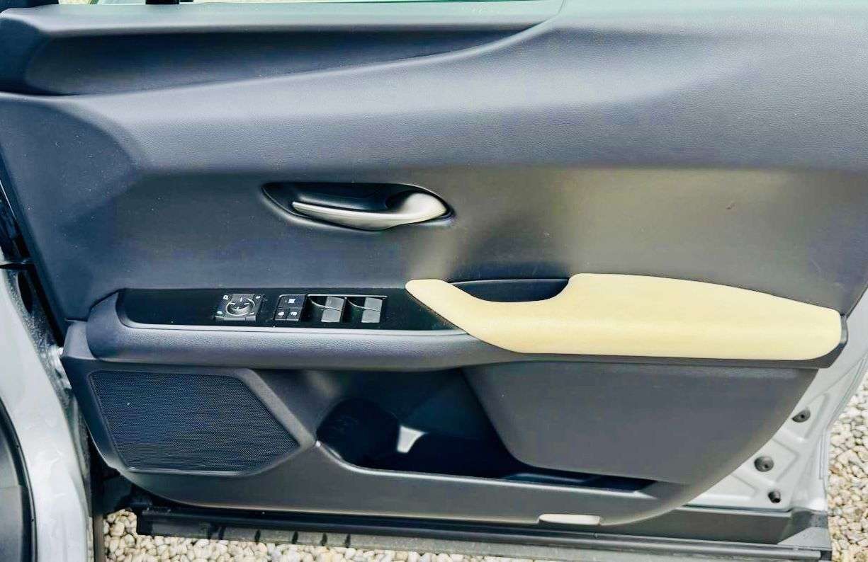 2019 LEXUS UX 2019 LEXUS UX