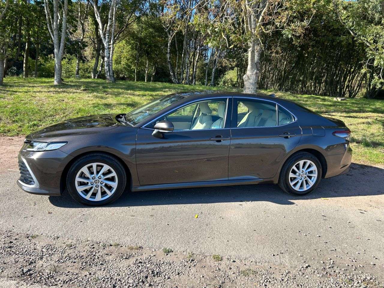 2022 TOYOTA CAMRY 2022 TOYOTA CAMRY