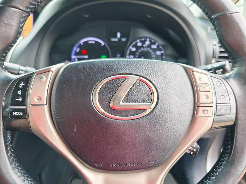 2014 LEXUS RX 2014 LEXUS RX