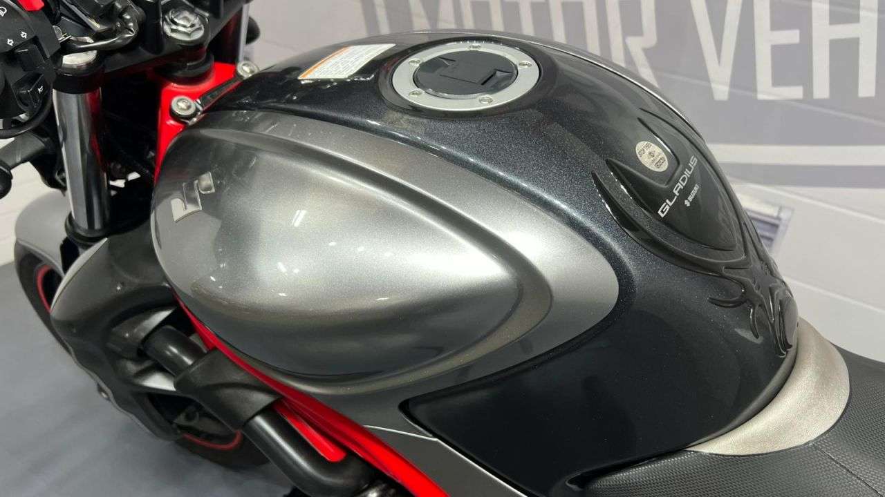 2010 SUZUKI GLADIUS 650 2010 SUZUKI GLADIUS 650