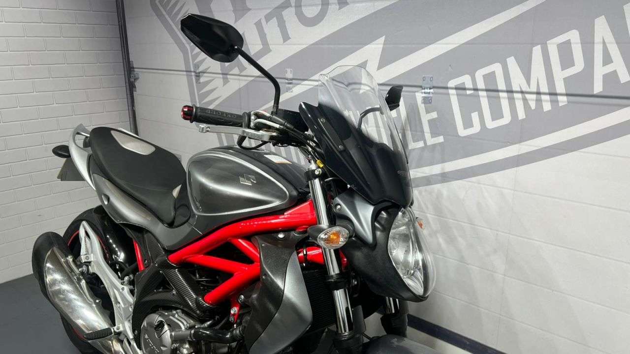 2010 SUZUKI GLADIUS 650 2010 SUZUKI GLADIUS 650