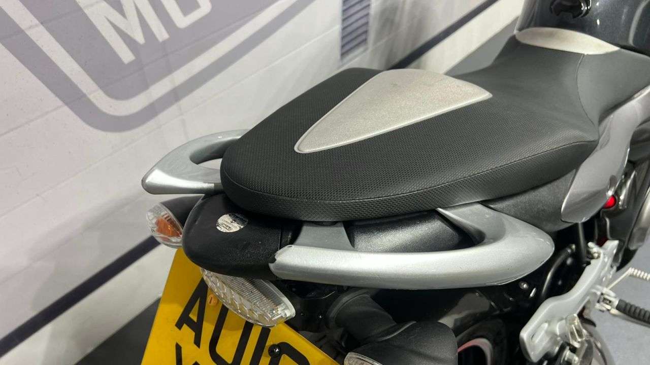 2010 SUZUKI GLADIUS 650 2010 SUZUKI GLADIUS 650