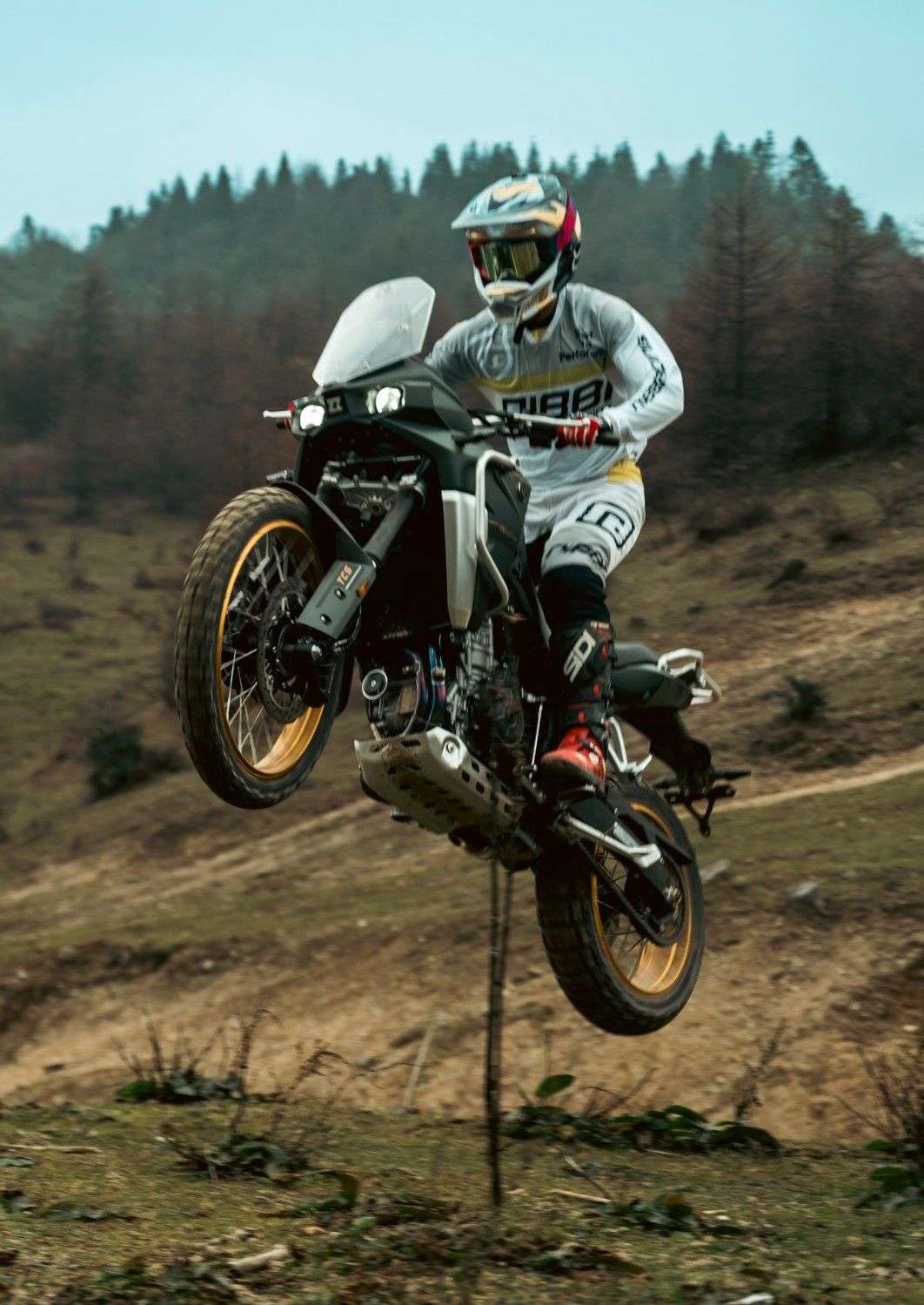 2024 KOVE 800X PRO 2024 KOVE 800X PRO