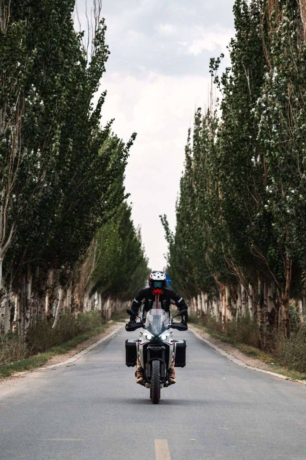 2025 KOVE 800X TOURING 2025 KOVE 800X TOURING