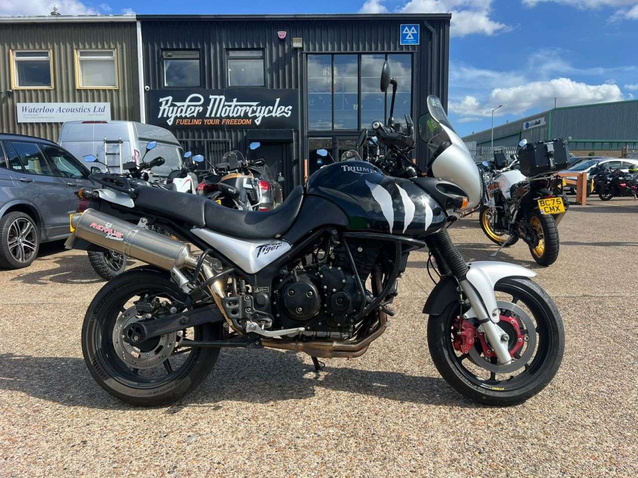 A 2001 TRIUMPH TIGER 955I - BUY ONLINE 24 HRS A DAY - FINANCE AVAILABLE - ALL TYPES OF CREDIT ACCEPTE A 2001 TRIUMPH TIGER 955I - BUY ONLINE 24 HRS A DAY - FINANCE AVAILABLE - ALL TYPES OF CREDIT ACCEPTE