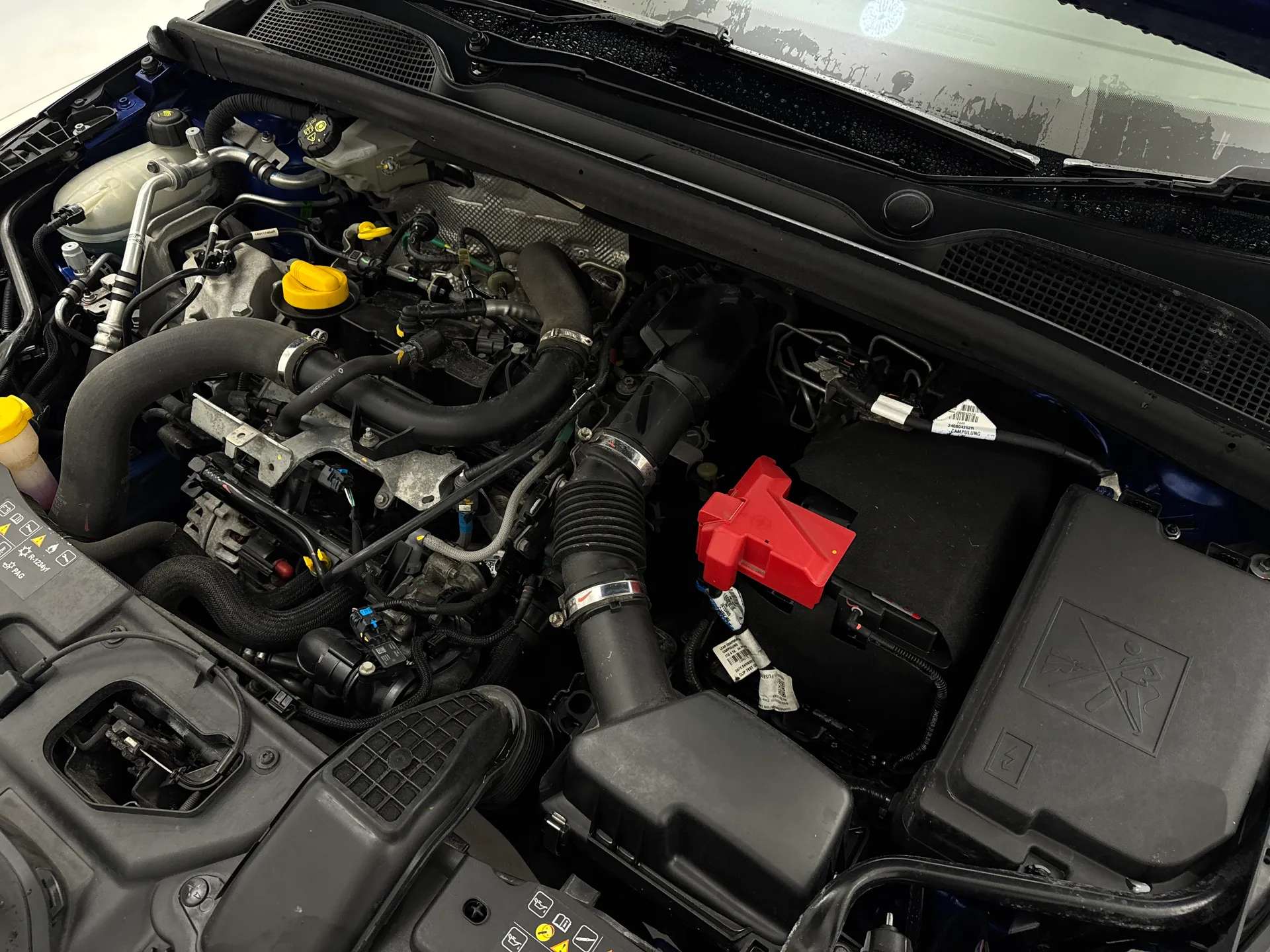 2019 RENAULT CLIO 2019 RENAULT CLIO