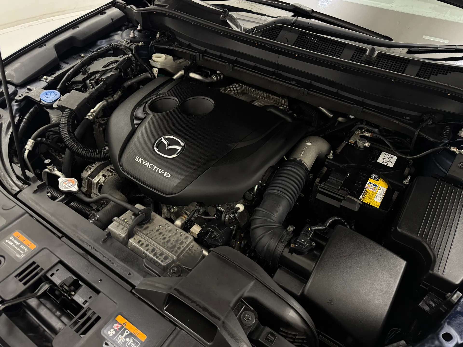 2022 MAZDA CX-5 2022 MAZDA CX-5