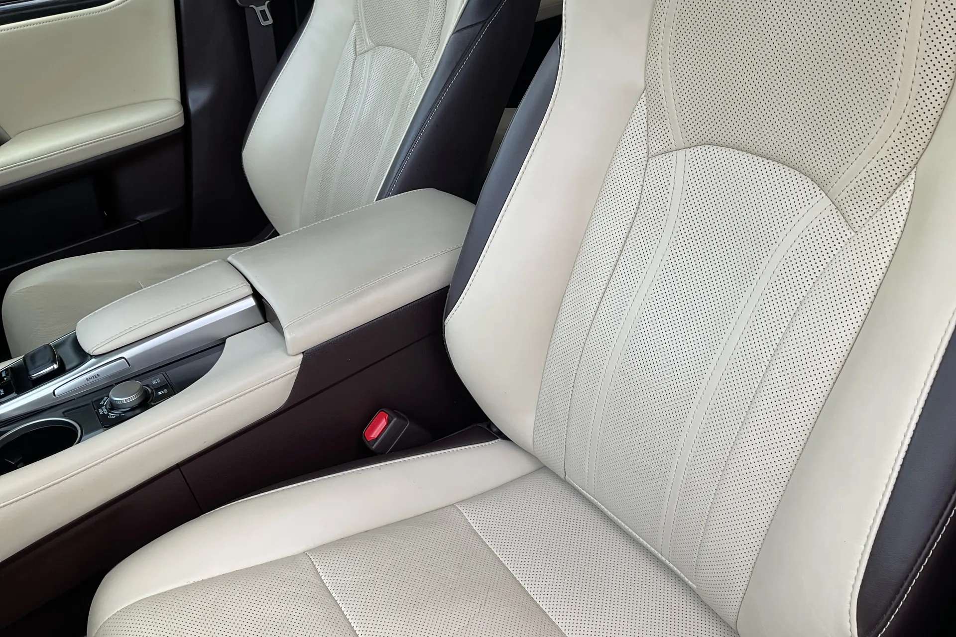 2019 LEXUS RX 2019 LEXUS RX