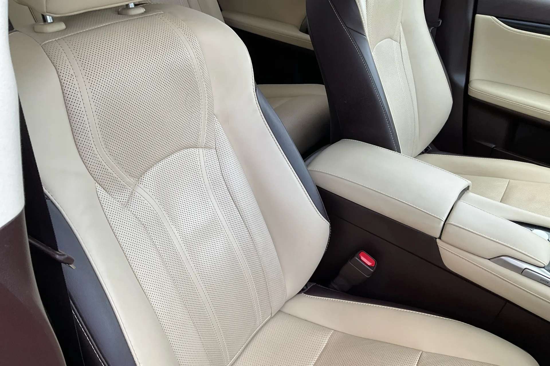 2019 LEXUS RX 2019 LEXUS RX