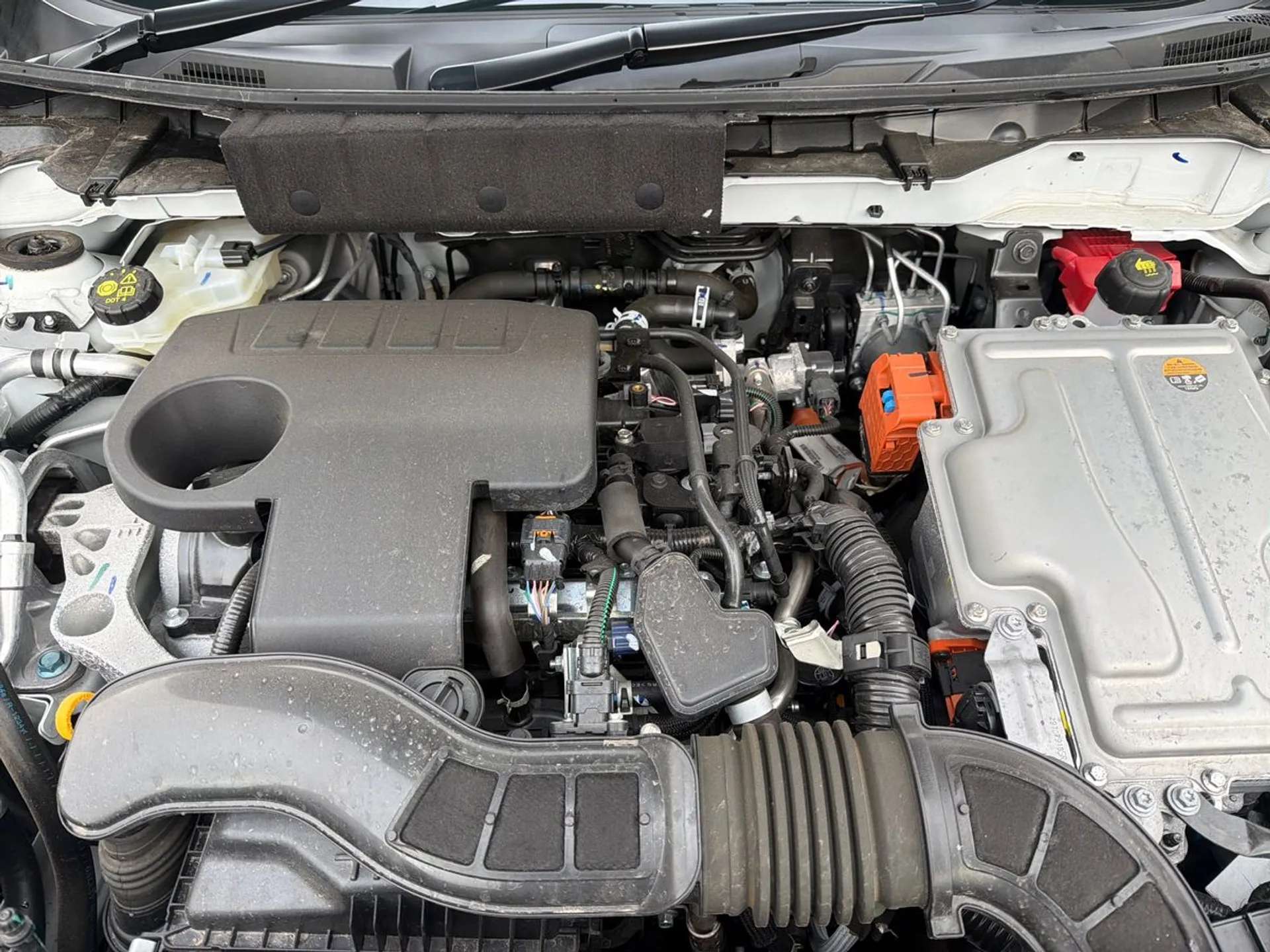 2025 NISSAN JUKE 2025 NISSAN JUKE