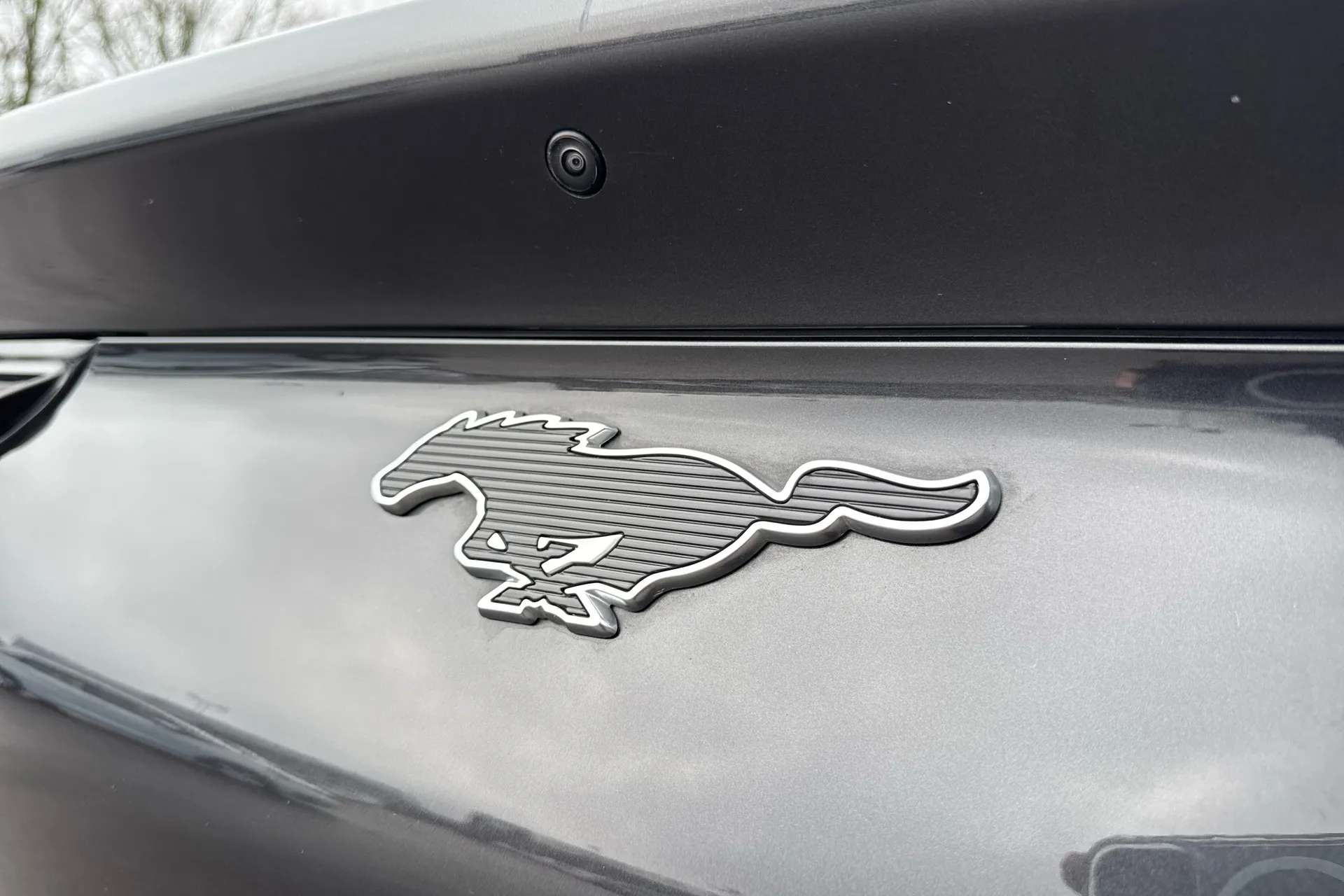 2022 FORD MUSTANG MACH-E 2022 FORD MUSTANG MACH-E