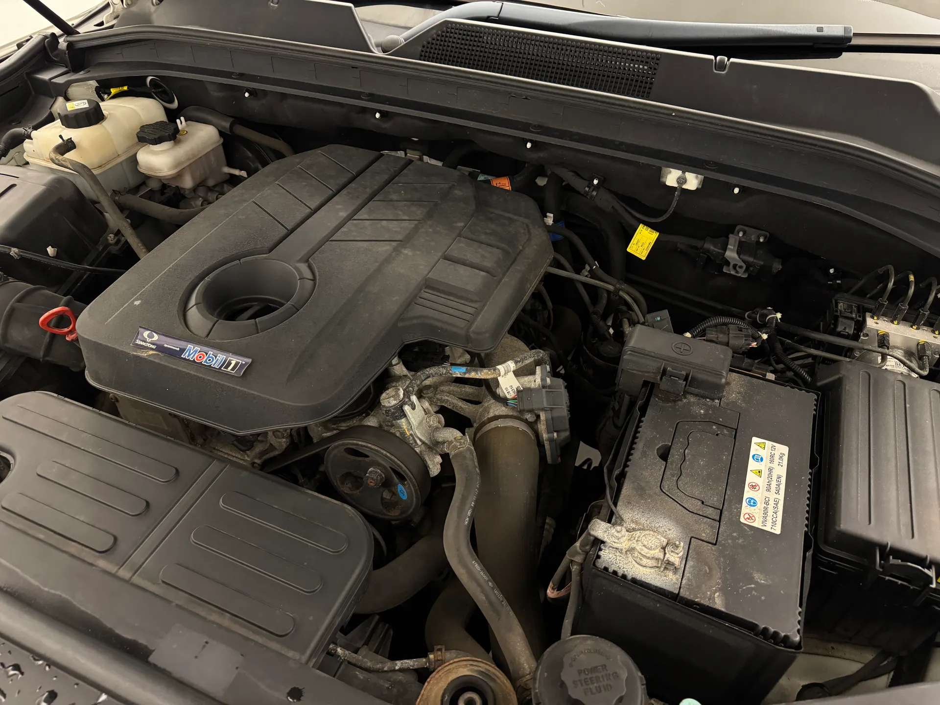 2019 SSANGYONG MUSSO 2019 SSANGYONG MUSSO