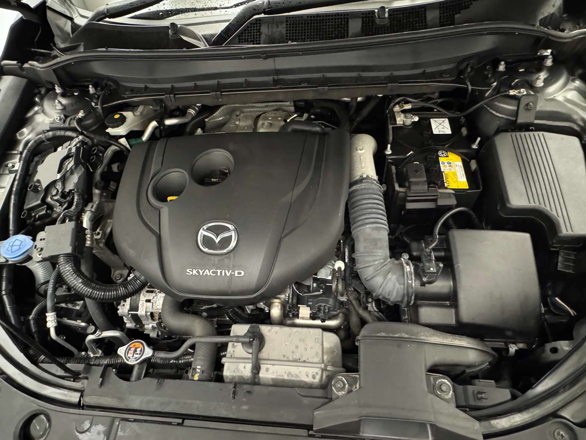 2023 MAZDA CX-5 2023 MAZDA CX-5
