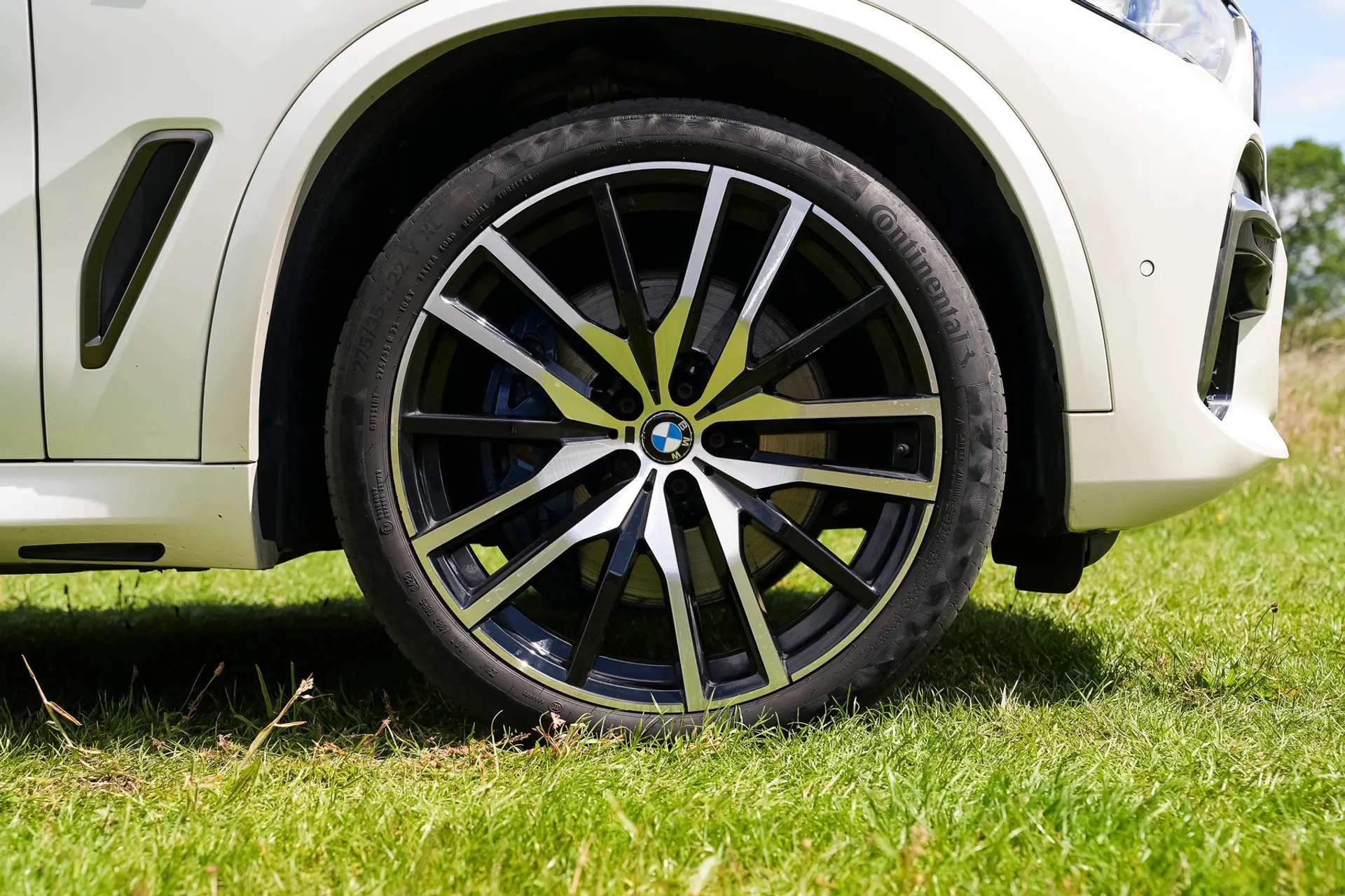2019 BMW X5 2019 BMW X5