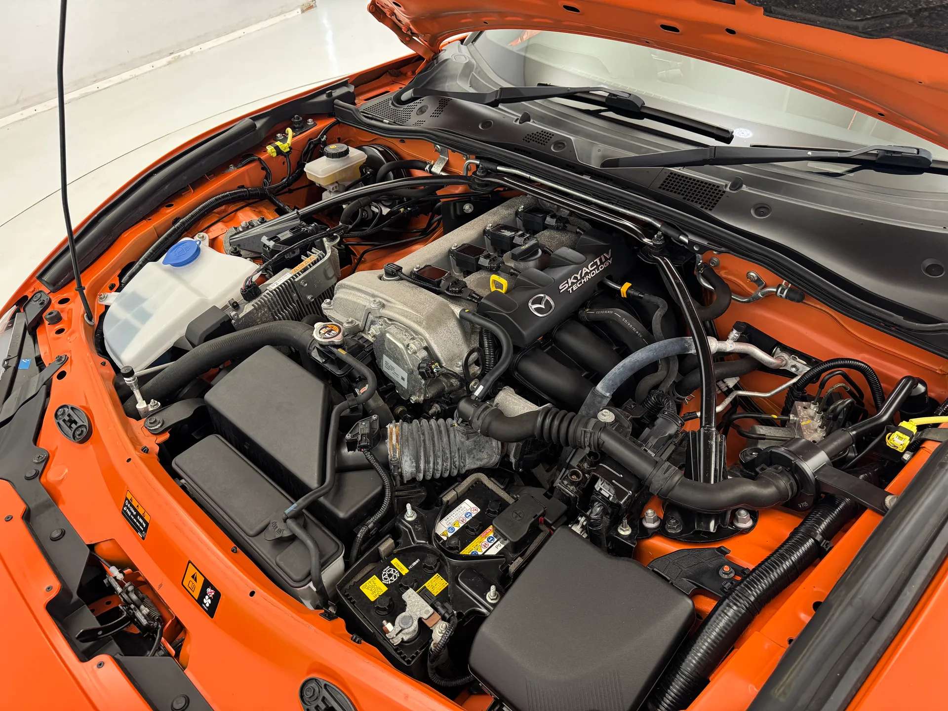 2019 MAZDA MX-5 2019 MAZDA MX-5