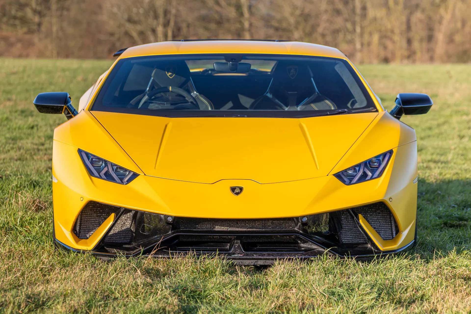 A 2017 LAMBORGHINI HURACAN LP 640-4 Performante 2dr LDF A 2017 LAMBORGHINI HURACAN LP 640-4 Performante 2dr LDF