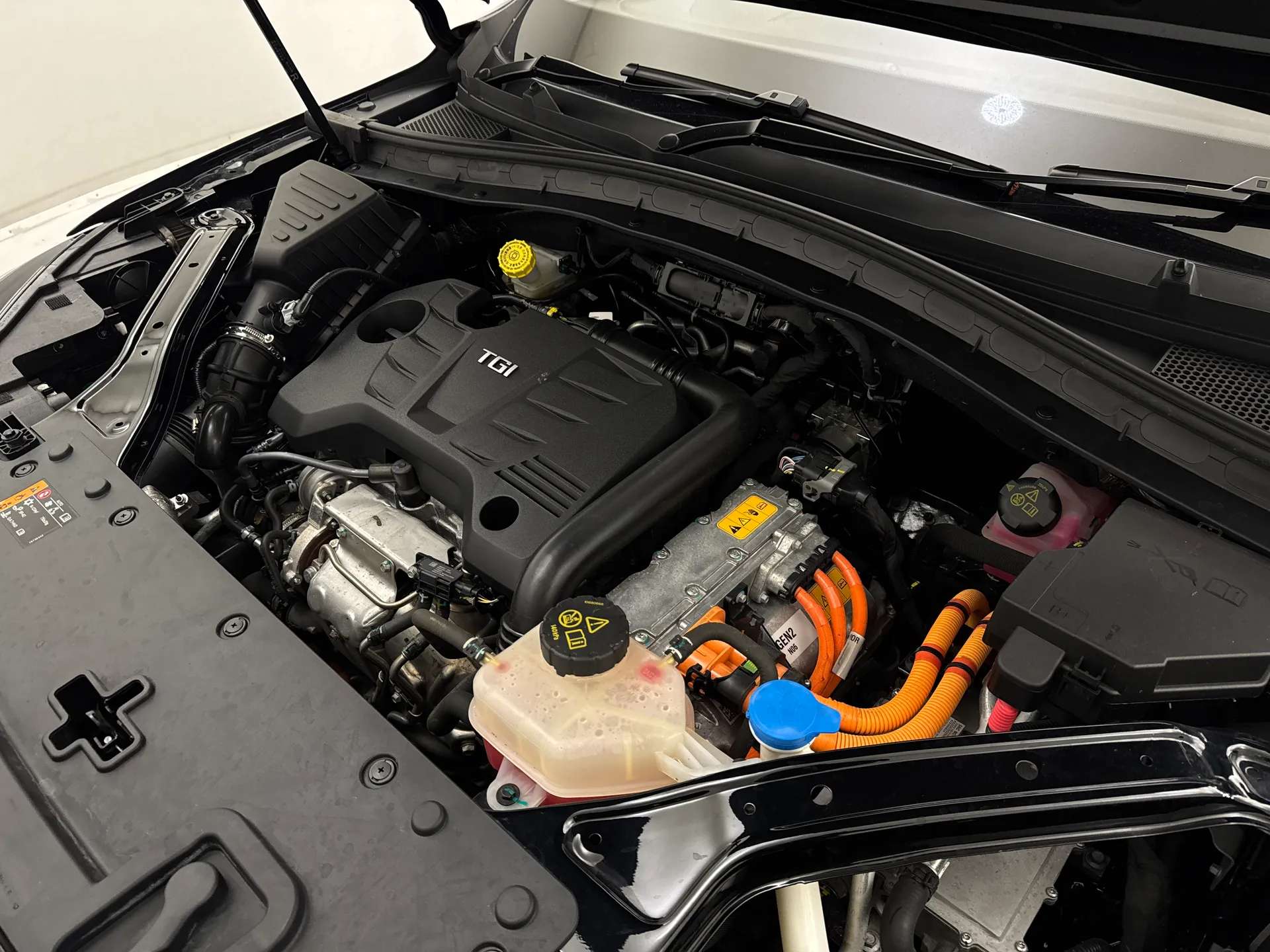 2024 MG MOTOR UK HS 2024 MG MOTOR UK HS