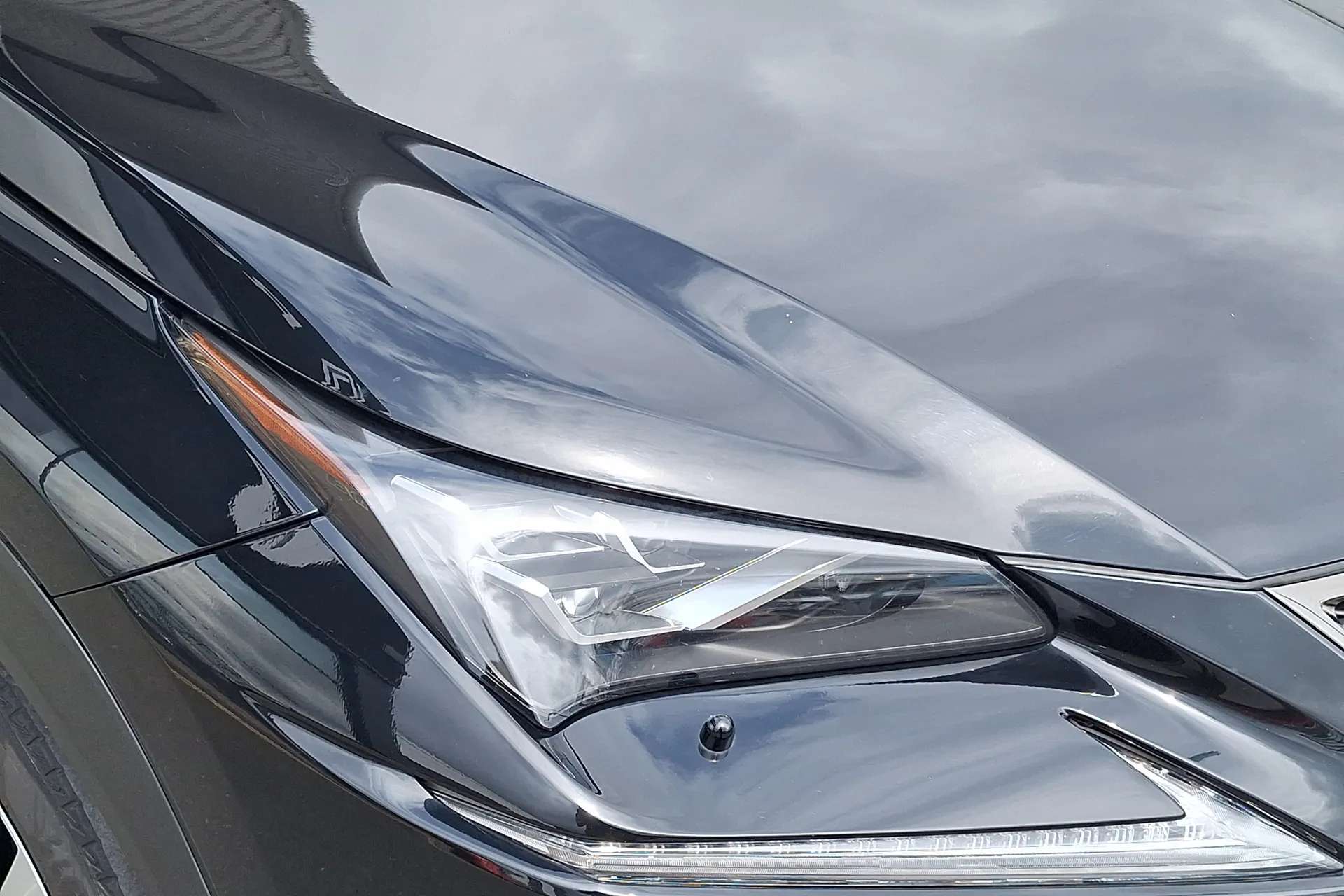 2019 LEXUS NX 2019 LEXUS NX